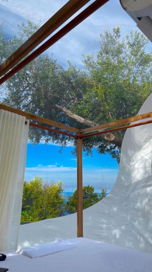 La Perle Palase Εξωτερικό φωτογραφία